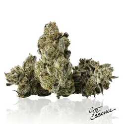 Silver Project from  product image