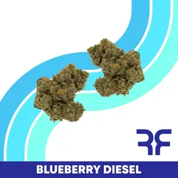 Blueberry Diesel -  cannabis product