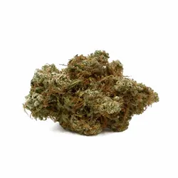 Russian Assassin Diamond Infused Flower from  product image