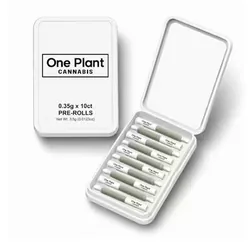 Runtz X -  cannabis product