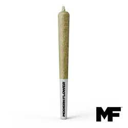 Durban Grapefruit Single Pre-Roll from  product image