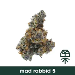Mad Rabbid #5 from  product image