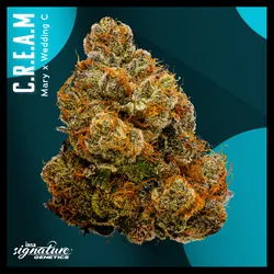 Large Pack Flower - Pave from  product image