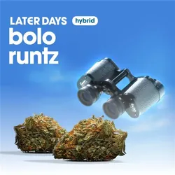 Bolo Runtz Smalls from  product image