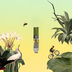 Everglade Haze Cartridge from  product image