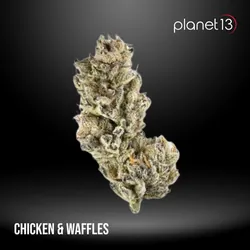 Chicken and Waffles 3.5g Pouch Tier 2 from  product image