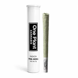 Sundae Zkittlez Pre Roll 1g from  product image