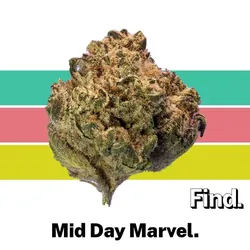 Mid Day Marvel from  product image