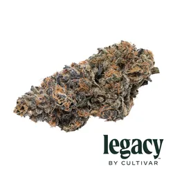 Purple Prototype Flower from  product image