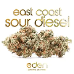 ECSD from  product image
