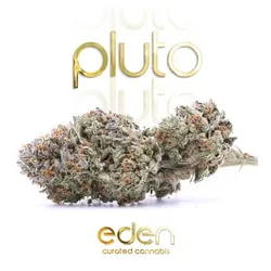 Pluto SchMediums from  product image