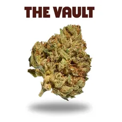 The Vault Gelato Cream Cake Flower from  product image