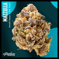 Large Pack Flower - RZ Berry from  product image