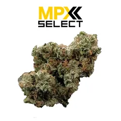MPX Select™ Point Break Flower from  product image