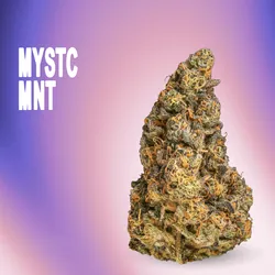 MYSTC MNT from  product image
