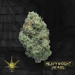 Trick Trick OG from  product image