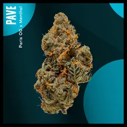 Large Pack Flower - Pave from  product image