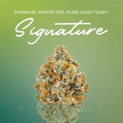 Black Maple Signature - 3.5g from  product image