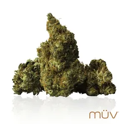 Super Lemon G from  product image