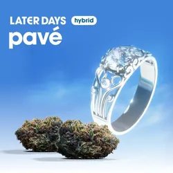 Pave Smalls from  product image