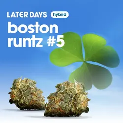Boston Runtz #5 Flower from  product image