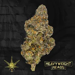 313 Headband from  product image