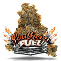 Southern Fuel - Premium Flower from  product image