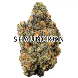 Gravitron - Smediums from  product image