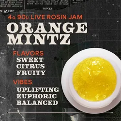 Orange Mintz Jam 4g Live Rosin Concentrate from  product image