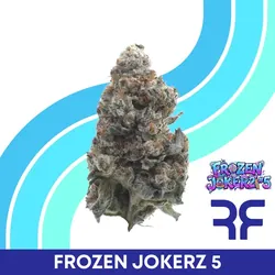 Frozen Jokerz #5 from  product image