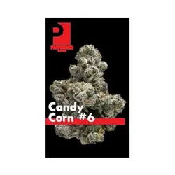 Candy Corn #6 Eighth from  product image