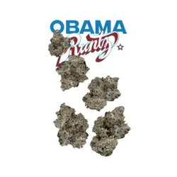 Obama Runtz 7g Juniors from  product image