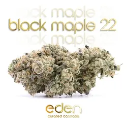 Black Maple 3.5g from  product image