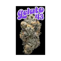 Gelato #43 Eighth from  product image