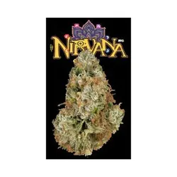 Nirvana #6 Eighth from  product image