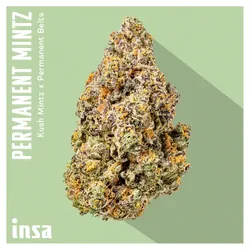 Flower - Permanent Mintz from  product image