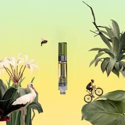 Everglade Haze Cartridge from  product image