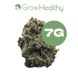 Ice Cream Cake -  cannabis product
