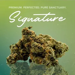 Jungle Grapes Signature - 3.5g from  product image