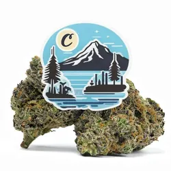 Light Blue - Smediums from  product image