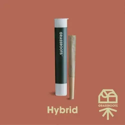 Jayna's Sunshine from  product image