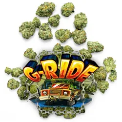 G-Ride - Pops from  product image