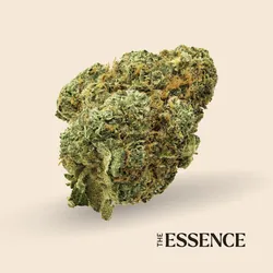 Tropical Fusion from  product image