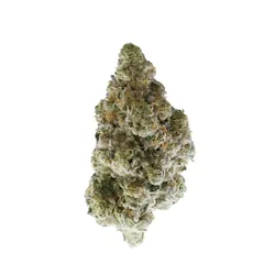 Cyber Wolf from  product image