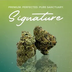 Terpy Slurpee Signature - 3.5g from  product image