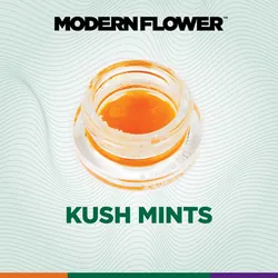 Kush Mints Live Terpene Sauz from  product image