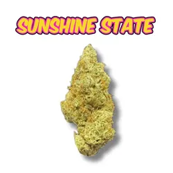 Sunshine State Flower - Blueberry Runtz from  product image