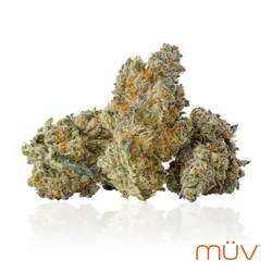 Applescotti from  product image