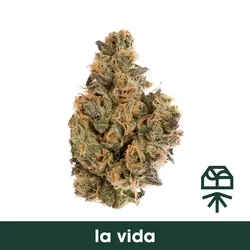 La Vida from  product image