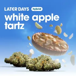 White Apple Tartz -  cannabis product